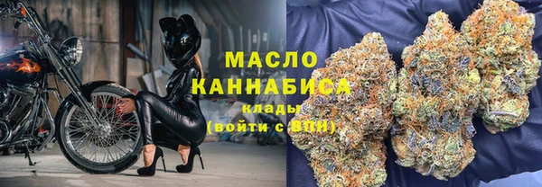 молекула духа Верхний Тагил