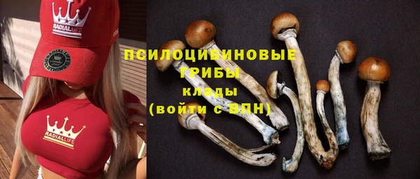 кокаин премиум Новозыбков