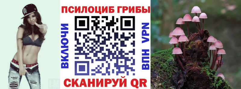 Галлюциногенные грибы прущие грибы  где найти   Разумное 